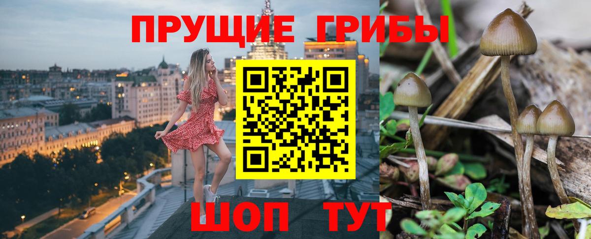 Галлюциногенные грибы Psilocybine cubensis  Псилоцибиновые грибы Psilocybine cubensis  Вход с VPN  закладка  Домодедово 